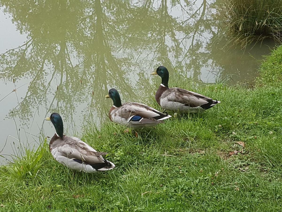L Occitane Villa Gimont Dış mekan fotoğraf
